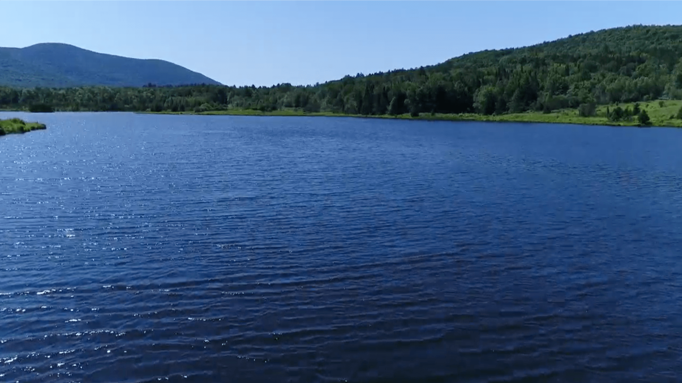 lake with trees